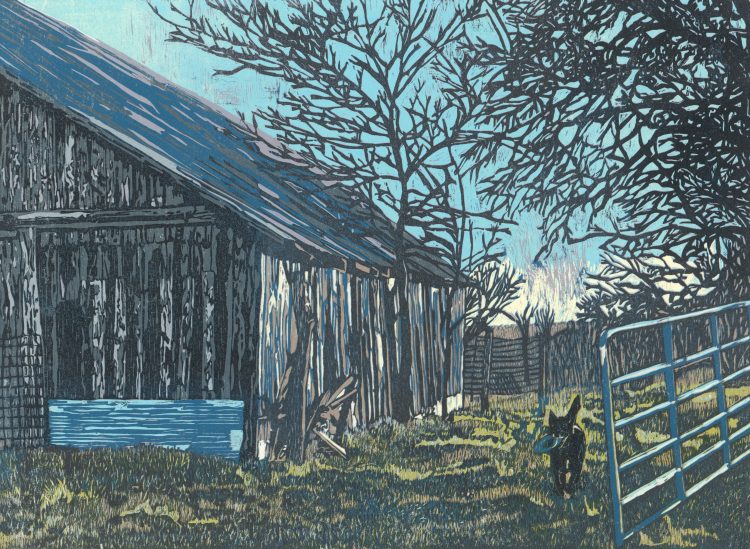 Woodcut Reduction